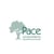 Pace Accounting Inc. online flyer