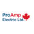 Pro Amp Electric online flyer