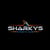 Sharkys Fitness online flyer