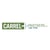 Carrel +Partners LLP online flyer