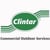 Clintar local listings