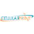 Cellular Point online flyer