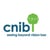 CNIB online flyer