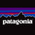 Patagonia online flyer