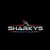 Sharkys Fitness online flyer