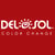 Del Sol online flyer