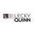 Lecky Quinn Law online flyer