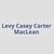 Levy Casey Carter MacLean CPA online flyer