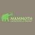 Mammoth Landscaping online flyer