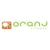 Oranj Fitness online flyer