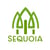 Sequoia Landscape Services online flyer
