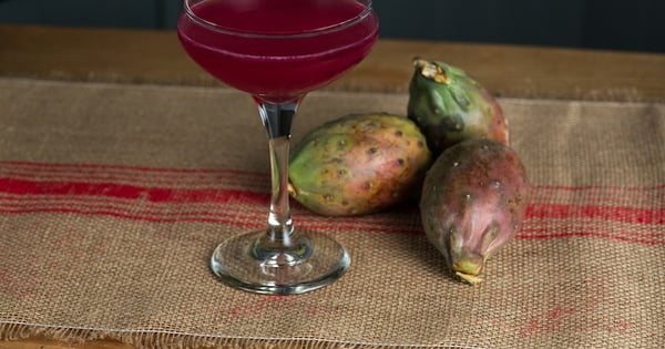 Prickly Pear Tequila Cocktail