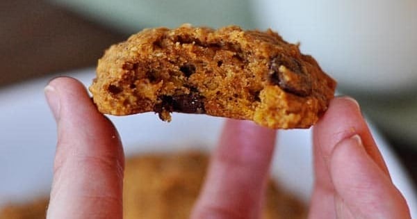 Triple Chip Pumpkin Oatsies