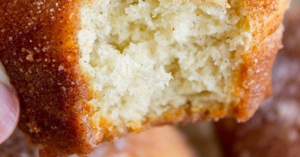 Snickerdoodle Muffins (French Breakfast Puffs)