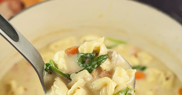 Chicken Alfredo Tortellini Soup