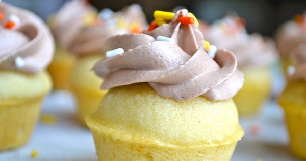 Vanilla Cupcakes with Cocoa Buttercream Frosting