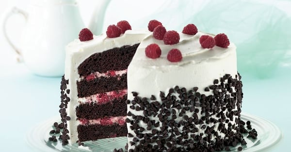 Raspberry-Fudge Fantasy Torte