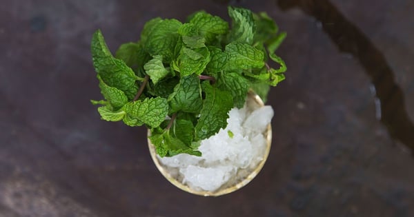 Mint Julep With Rum Float