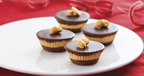 Chocolate PB Bites