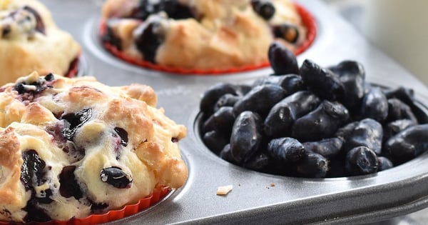 Blue Honeyberry, White Chocolate and Coconut Muffins