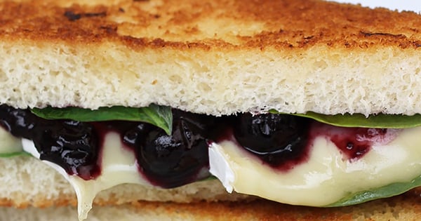 Balsamic Blueberry Brie Grilled Cheese Sandwich