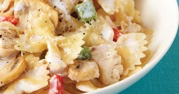 Chicken & Bow Tie Stroganoff