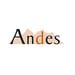 Logo Andes Moving