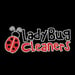 LadyBug Cleaners