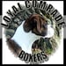 Loyal Comrade Boxers Logo Loyal Comrade Boxers