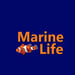 Logo Marine Life
