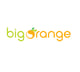 Big Orange logo