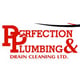 Perfection Plumbing logo