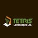 Tetris Landscapes logo