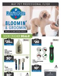 Ren's Pets - Grooming Monthly Savings
