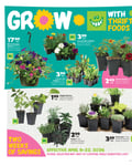Thrifty Foods - Grow Flyer