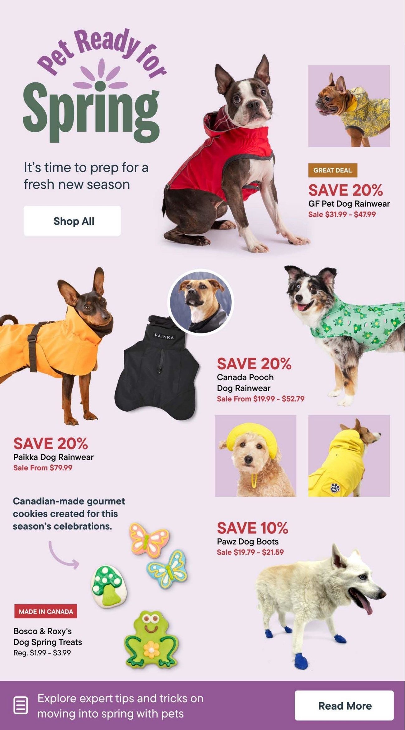Tisol Pet Nutrition - Monthly Savings - Page 5