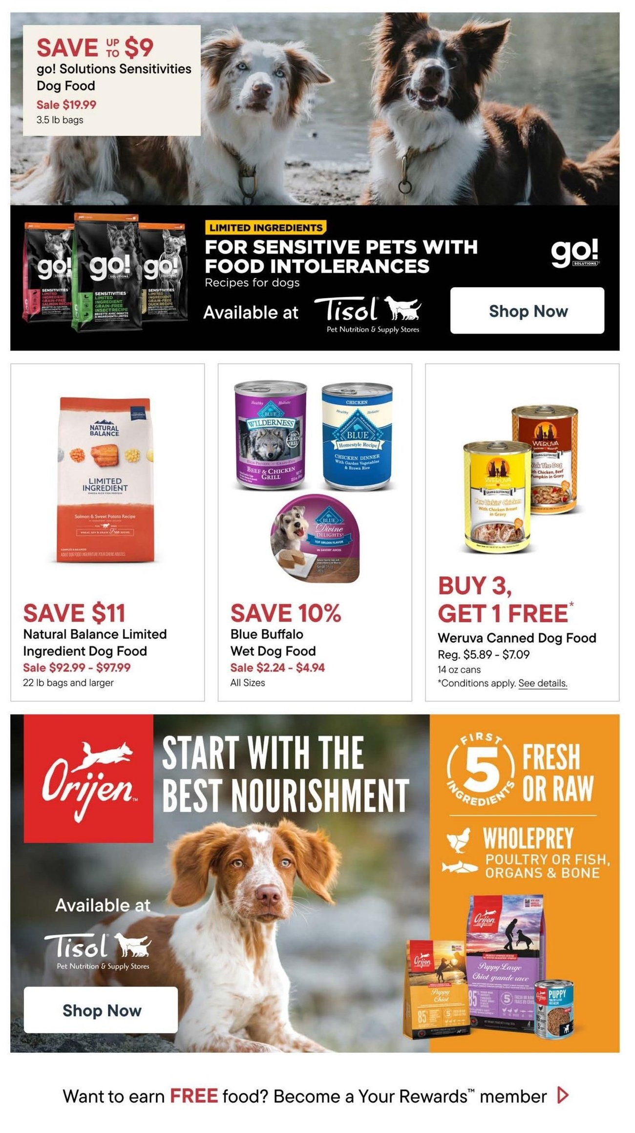 Tisol Pet Nutrition - Monthly Savings - Page 13