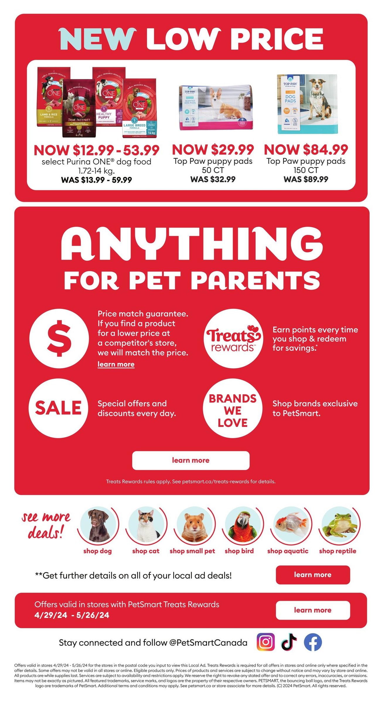 PetSmart - Monthly Savings - Page 12