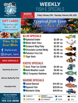 Big Al's - Barrie - Weekly Flyer Specials
