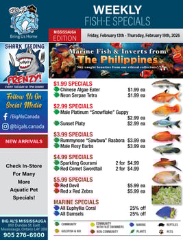 Big Al's - Mississauga - Weekly Flyer Specials