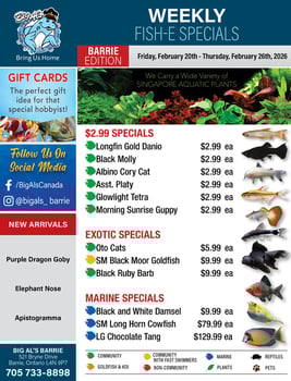 Big Al's - Barrie - Weekly Flyer Specials