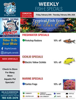 Big Al's - Edmonton - Weekly Flyer Specials