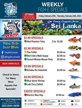Big Al's - Ottawa - Weekly Flyer Specials