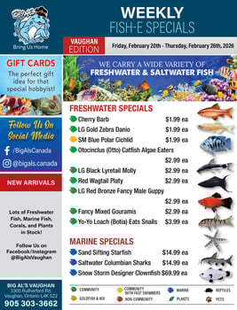 Big Al's - Vaughan - Weekly Flyer Specials
