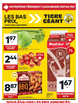 Giant Tiger - Quebec - Weekly Flyer Specials