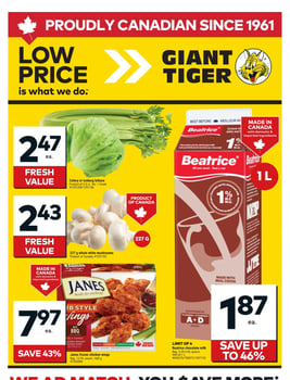 Giant Tiger - Western Canada - Weekly Flyer Specials