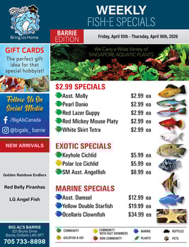 Big Al's - Barrie - Weekly Flyer Specials