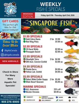 Big Al's - Mississauga - Weekly Flyer Specials