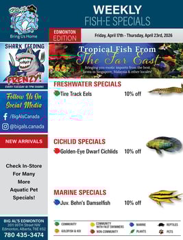 Big Al's - Edmonton - Weekly Flyer Specials