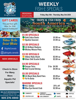Big Al's - Mississauga - Weekly Flyer Specials